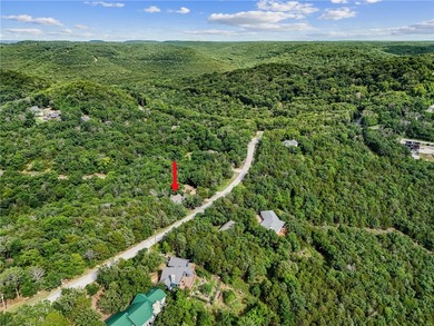 Nestled right next to Table Rock Lake & 15 minutes from Eureka - photo 36