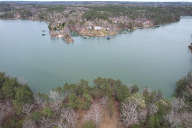 Lake Lot For Sale in Double Springs, Alabama