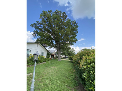 Nice clean functional Castlecomb home, appears to be in - photo 2