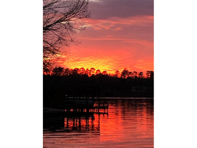 Rustic Lakefront Log Home with Stunning Sunsets No HOA - photo 8