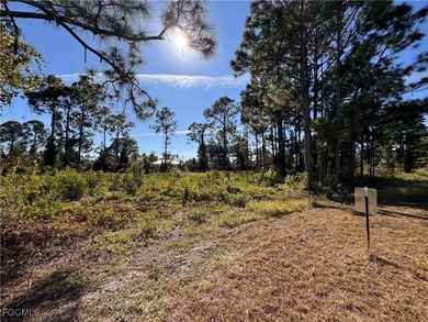 Lehigh Acres Area Lot For Sale in Lehigh Acres Florida
