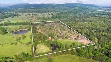 (private lake, pond, creek) Acreage For Sale in Russellville Arkansas