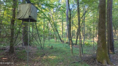 Looking for a place to relax, play, and make memories? This - photo 2