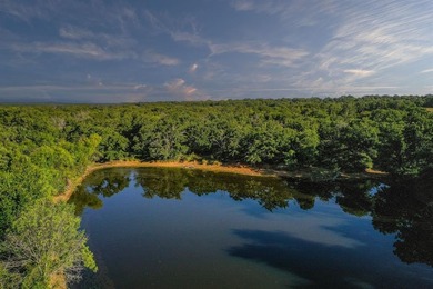 (private lake, pond, creek) Acreage For Sale in Bryson Texas