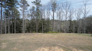 This is an amazing double lot that is 8 blocks from the private - photo 3