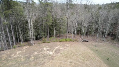 This is an amazing double lot that is 8 blocks from the private - photo 4