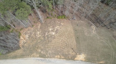 This is an amazing double lot that is 8 blocks from the private - photo 5