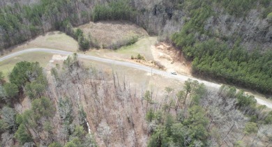 This is an amazing double lot that is 8 blocks from the private - photo 8