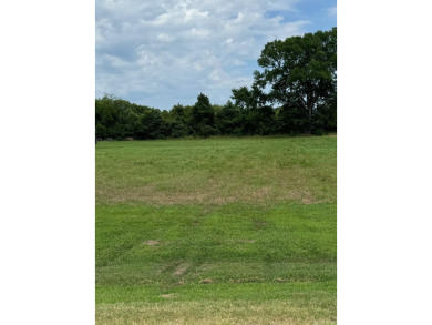 Lake Lot For Sale in Morrilton, Arkansas