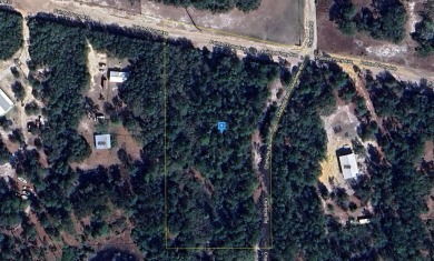 (private lake, pond, creek) Acreage For Sale in Melrose Florida