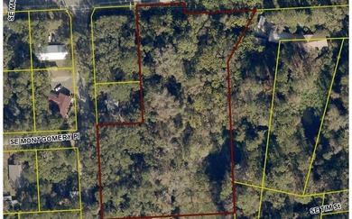 Alligator Lake - Columbia County Acreage For Sale in Lake City Florida