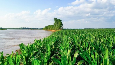 Irrigated Red River Farm & Hunting Ranch McCurtain County - photo 12
