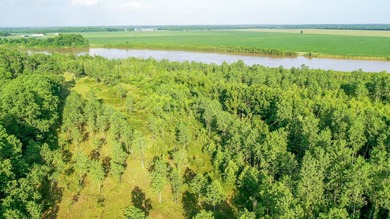 Irrigated Red River Farm & Hunting Ranch McCurtain County - photo 13