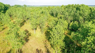 Irrigated Red River Farm & Hunting Ranch McCurtain County - photo 14