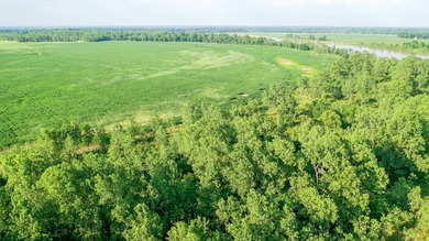 Irrigated Red River Farm & Hunting Ranch McCurtain County - photo 17