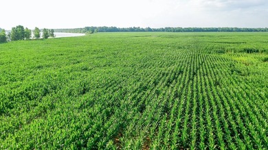 Irrigated Red River Farm & Hunting Ranch McCurtain County - photo 18