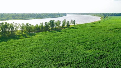 Irrigated Red River Farm & Hunting Ranch McCurtain County - photo 19