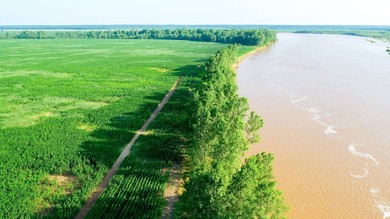 Irrigated Red River Farm & Hunting Ranch McCurtain County - photo 20