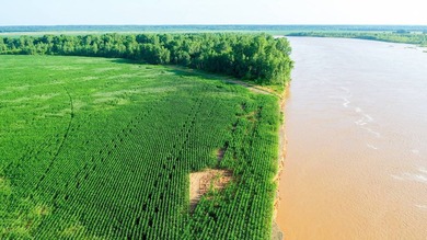 Irrigated Red River Farm & Hunting Ranch McCurtain County - photo 21