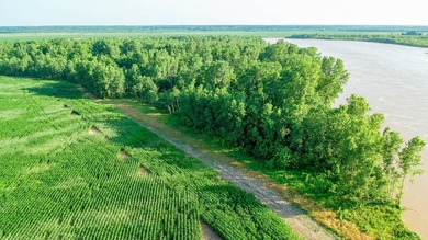 Irrigated Red River Farm & Hunting Ranch McCurtain County - photo 22
