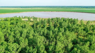 Irrigated Red River Farm & Hunting Ranch McCurtain County - photo 25
