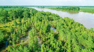 Irrigated Red River Farm & Hunting Ranch McCurtain County - photo 26