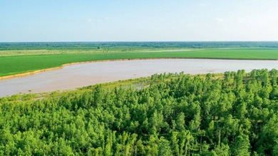 Irrigated Red River Farm & Hunting Ranch McCurtain County - photo 28