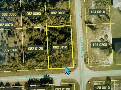 Lehigh Acres Area Lot For Sale in Lehigh Acres Florida