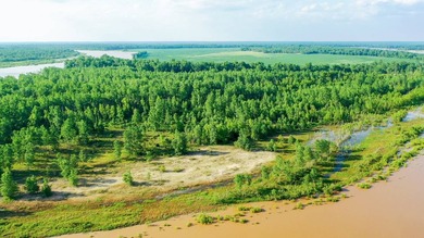 Irrigated Red River Farm & Hunting Ranch McCurtain County - photo 33