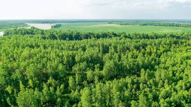 Irrigated Red River Farm & Hunting Ranch McCurtain County - photo 34