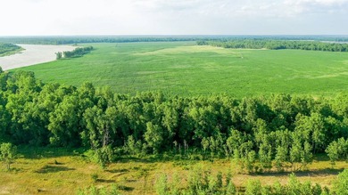 Irrigated Red River Farm & Hunting Ranch McCurtain County - photo 35