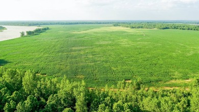 Irrigated Red River Farm & Hunting Ranch McCurtain County - photo 36