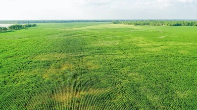 Irrigated Red River Farm & Hunting Ranch McCurtain County - photo 37
