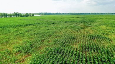 Irrigated Red River Farm & Hunting Ranch McCurtain County - photo 38