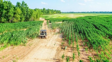 Irrigated Red River Farm & Hunting Ranch McCurtain County - photo 41