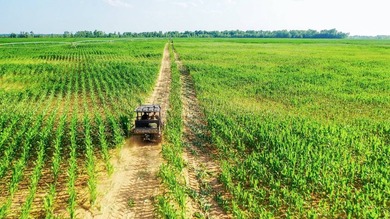 Irrigated Red River Farm & Hunting Ranch McCurtain County - photo 42