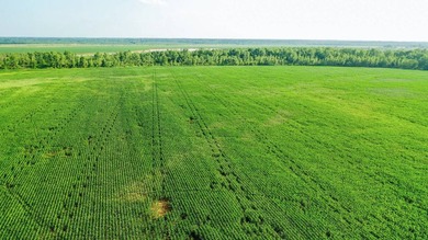 Irrigated Red River Farm & Hunting Ranch McCurtain County - photo 43