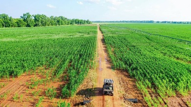 Irrigated Red River Farm & Hunting Ranch McCurtain County - photo 45