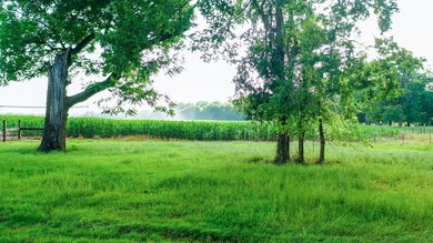 Irrigated Red River Farm & Hunting Ranch McCurtain County - photo 46