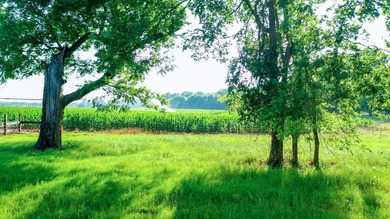 Irrigated Red River Farm & Hunting Ranch McCurtain County - photo 47