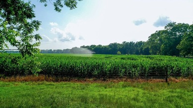 Irrigated Red River Farm & Hunting Ranch McCurtain County - photo 48