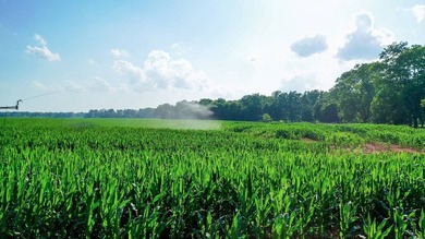 Irrigated Red River Farm & Hunting Ranch McCurtain County - photo 49