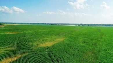 Irrigated Red River Farm & Hunting Ranch McCurtain County - photo 50