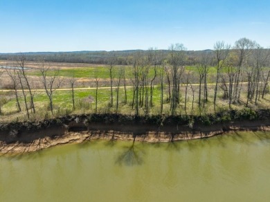 Tennessee River - Hardin County Lot For Sale in Clifton Tennessee
