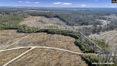 (private lake, pond, coastal) Acreage For Sale in Saluda South Carolina