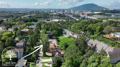 Tennessee River - Hamilton County Home For Sale in Chattanooga Tennessee