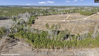 (private lake, pond, coastal) Acreage For Sale in Saluda South Carolina