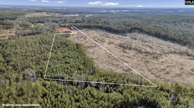 (private lake, pond, coastal) Acreage For Sale in Saluda South Carolina