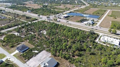 This 7.93 surveyed acre commercial development site is located - photo 8