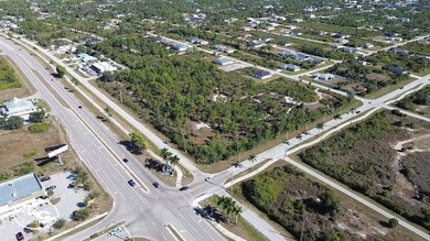 This 7.93 surveyed acre commercial development site is located - photo 9